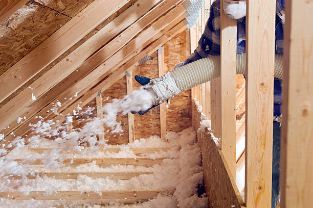 Best Insulation for Existing Homes  in USA